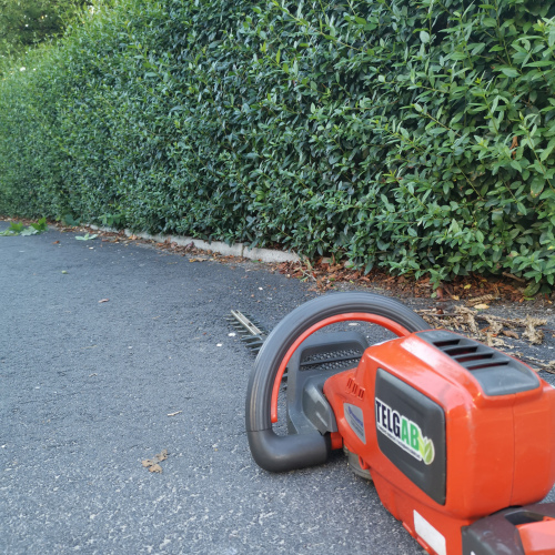 Husqvarna 60cm Häcksax Batteri